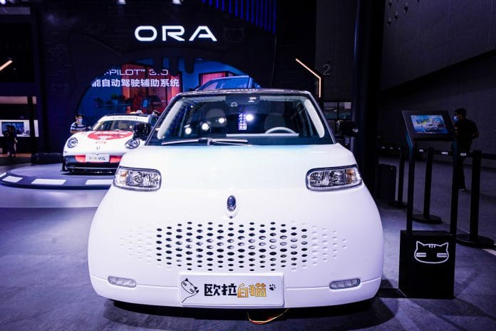 ORA White Cat (4)